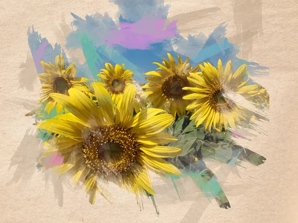 Slunečnice akvarel — Stock fotografie