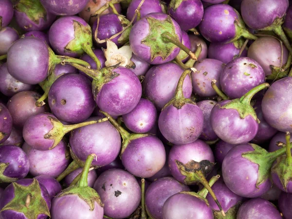 Paarse aubergines — Stockfoto