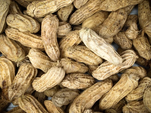 stock image Boiled peanuts