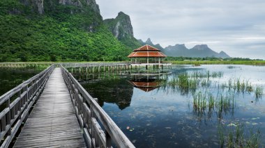 Boardwalks on the lake clipart