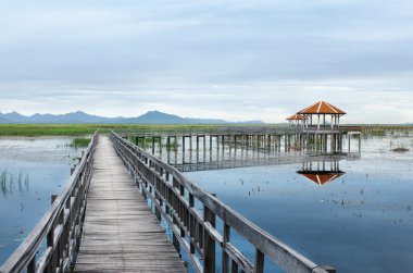 boardwalks sabah göl