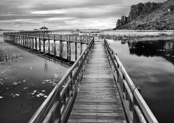 ボードウォーク湖黒と白の — ストック写真