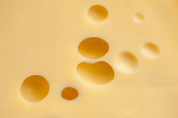 Texture of cheese — Stock Photo, Image
