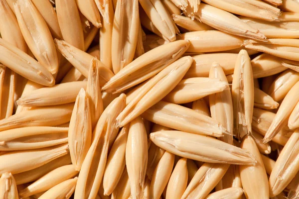 Whole grain oats — Stock Photo, Image