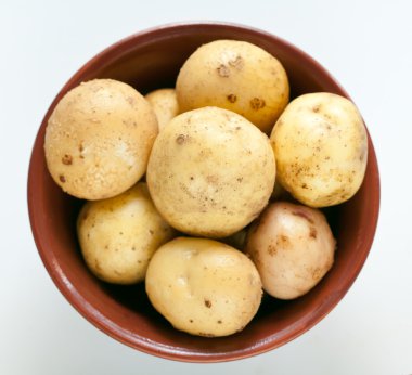 taze patates