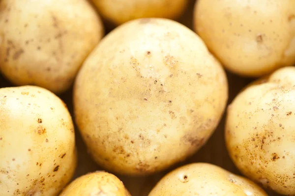 Stock image Fresh potatoes