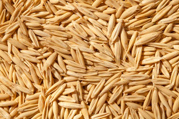 Unshelled oats — Stock Photo, Image