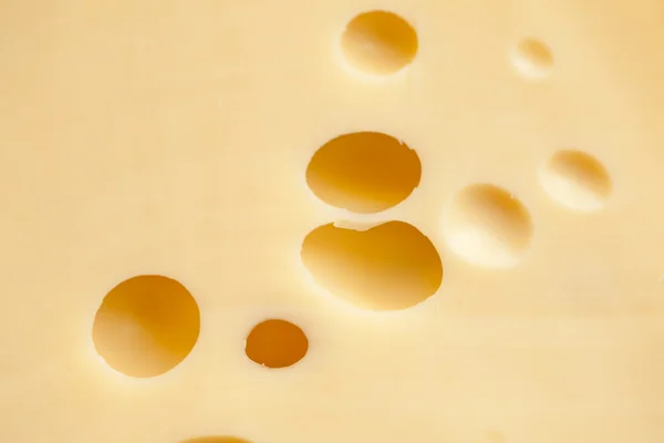 Cheese with holes — Stock Photo, Image