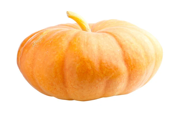 Pumpkin isolated — Stock Photo, Image