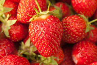 Strawberries closeup clipart