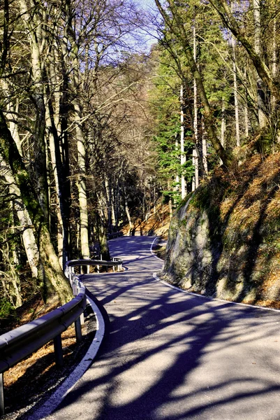 Bergweg — Stockfoto