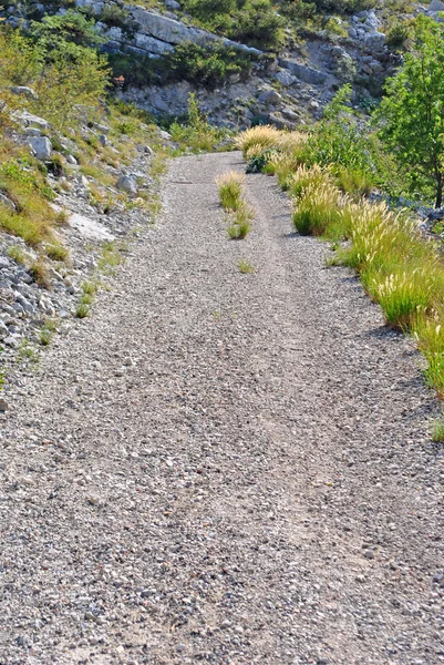 Путь в горах — стоковое фото