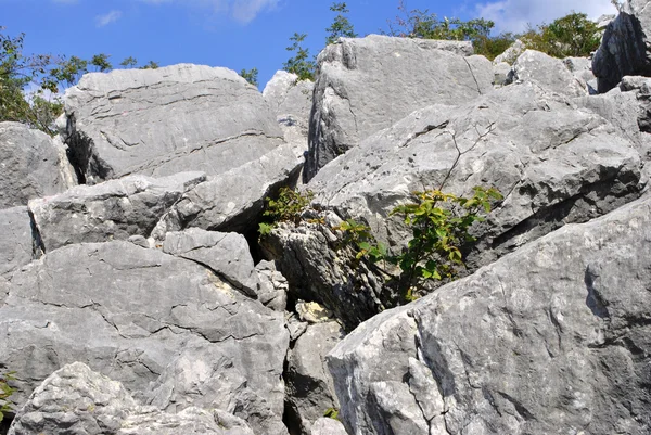 Texturas de rocha dolomita — Fotografia de Stock