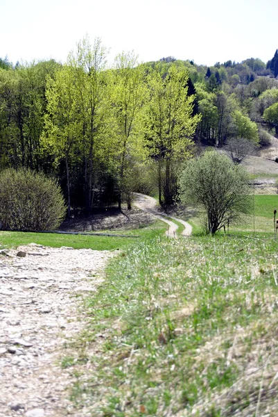 Bel sentiero nelle Alpi italiane — Foto Stock