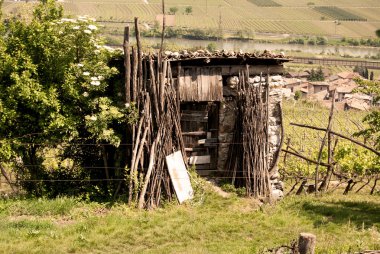 kır evi