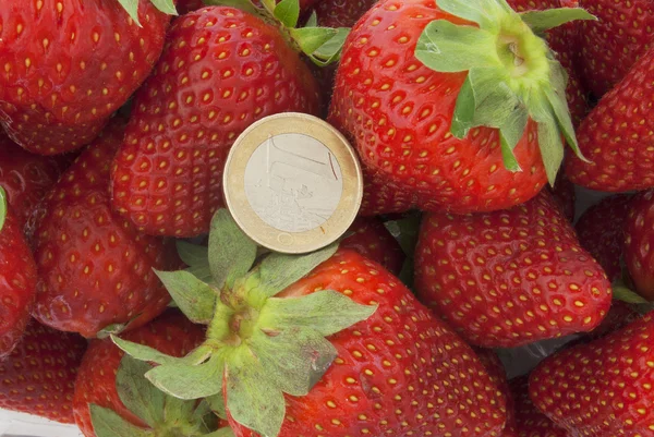 Euro mit Erdbeere — Stockfoto