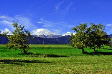 Vadi içerisinde Dolomit