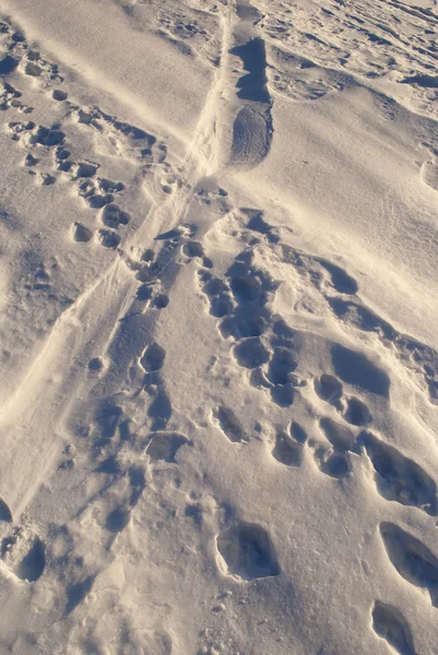 テクスチャの雪 — ストック写真