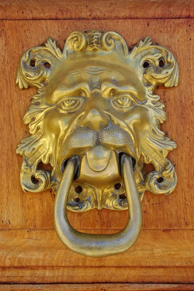 Bronze door — Stock Photo, Image