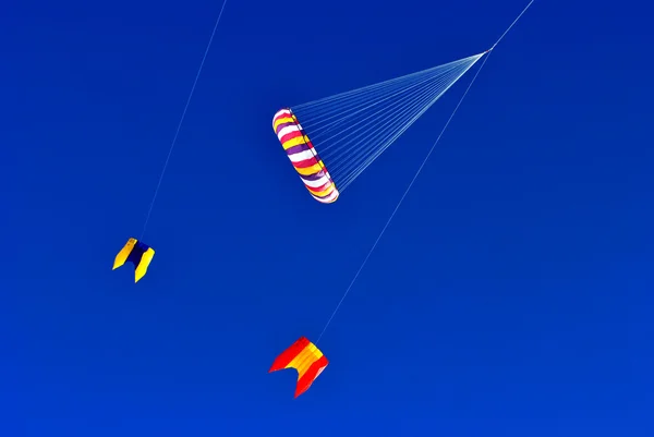 Kites flying — Stock Photo, Image