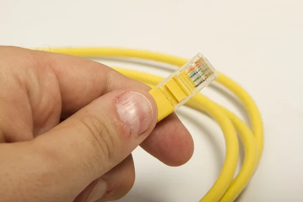 Male hand holdin LAN cable — Stock Photo, Image