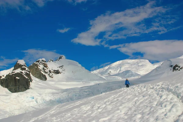Antarctic scenery, snow and blue sky — Stock Photo, Image