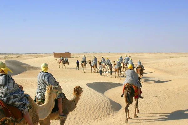 サハラ砂漠でラクダに乗って観光客 — ストック写真
