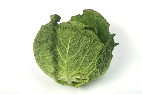 Kale on white background — Stock Photo, Image