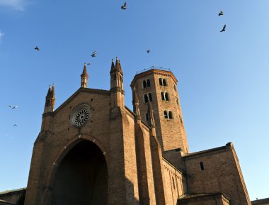 Pigeons on Basilica of saint antonino clipart