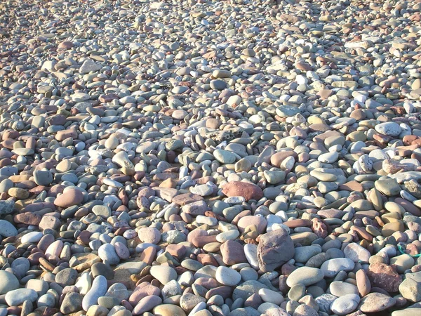 Beach Pebbles. — Stock Photo, Image