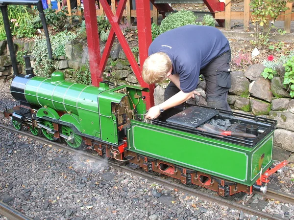 Tren de vapor en miniatura . — Foto de Stock