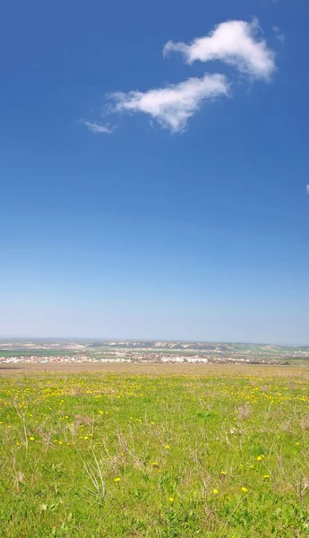 Vertical panorama of a blue sky and a meadow