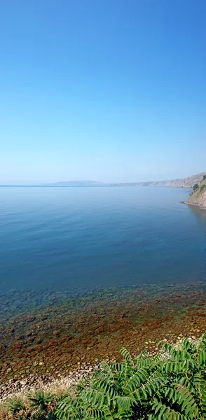 Vertical panorama of the sea