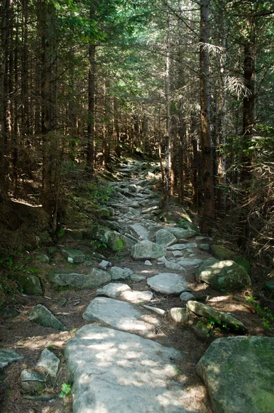 stock image Mountain trail