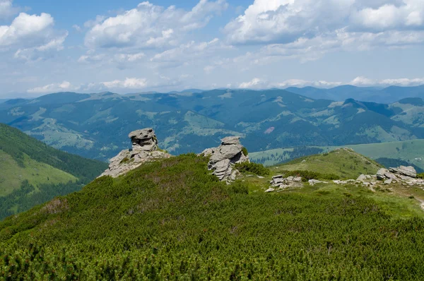 stock image Mountain Landscape