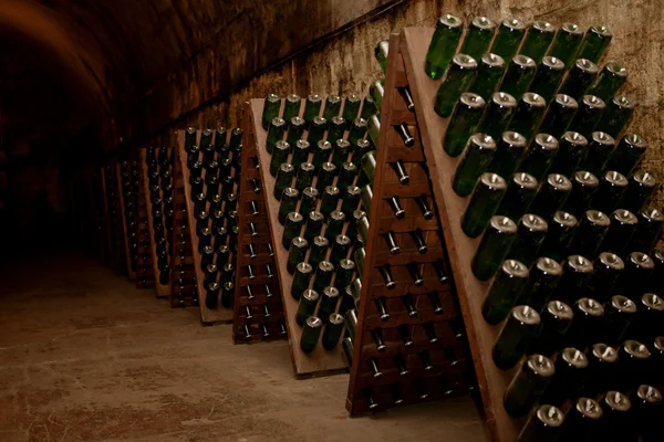Cellar with wine — Stock Photo, Image