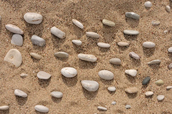 Cailloux dans le sable de la plage — Photo