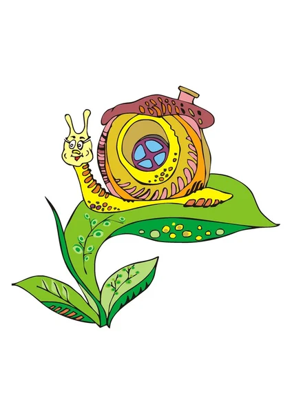 Snail on a green leaf — Stock Vector