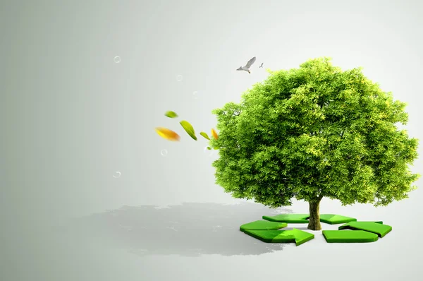 Ökologiekonzept. Baum mit Recycling-Pfeilen — Stockfoto