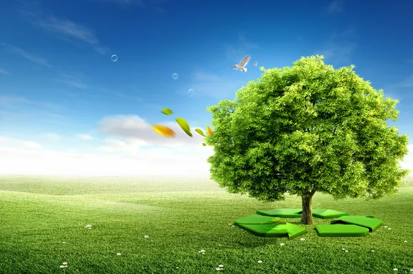 Concepto de ecología. árbol con flechas de reciclaje — Foto de Stock