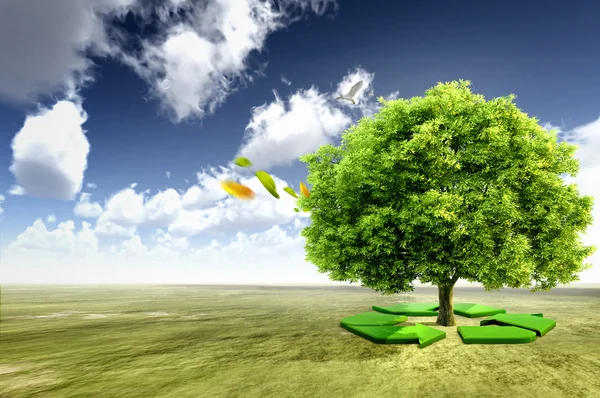 Ekoloji kavramı. geri dönüşüm okları olan ağaç — Stok fotoğraf