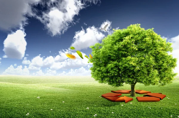 Экологическая концепция. дерево со стрелками для переработки — стоковое фото