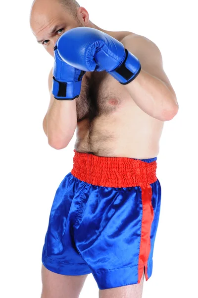 Deneyimli boksör — Stok fotoğraf