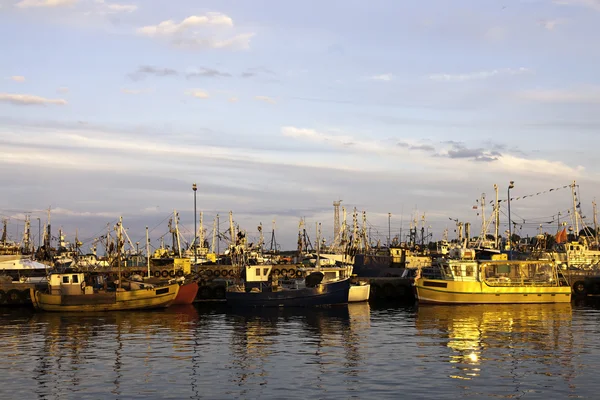 gün batımında Marina