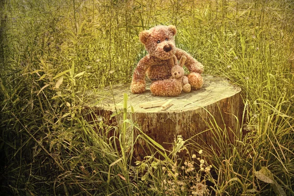 关于旧木树桩在草丛中的小小熊 — 图库照片