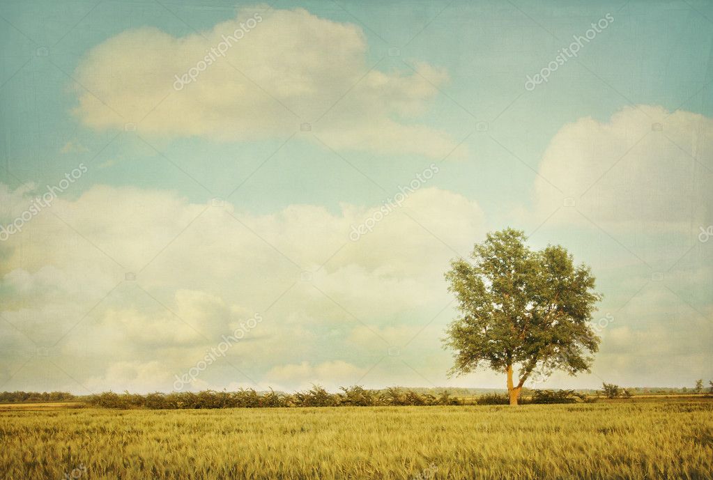 Lonely tree in meadow with vintage look — Stock Photo © Sandralise #5483371