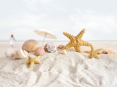 Starfish and seashells at the beach clipart