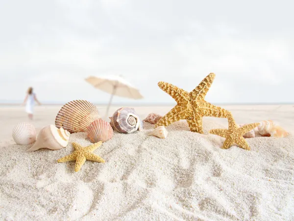 Starfish and seashells at the beach — Stock Photo, Image