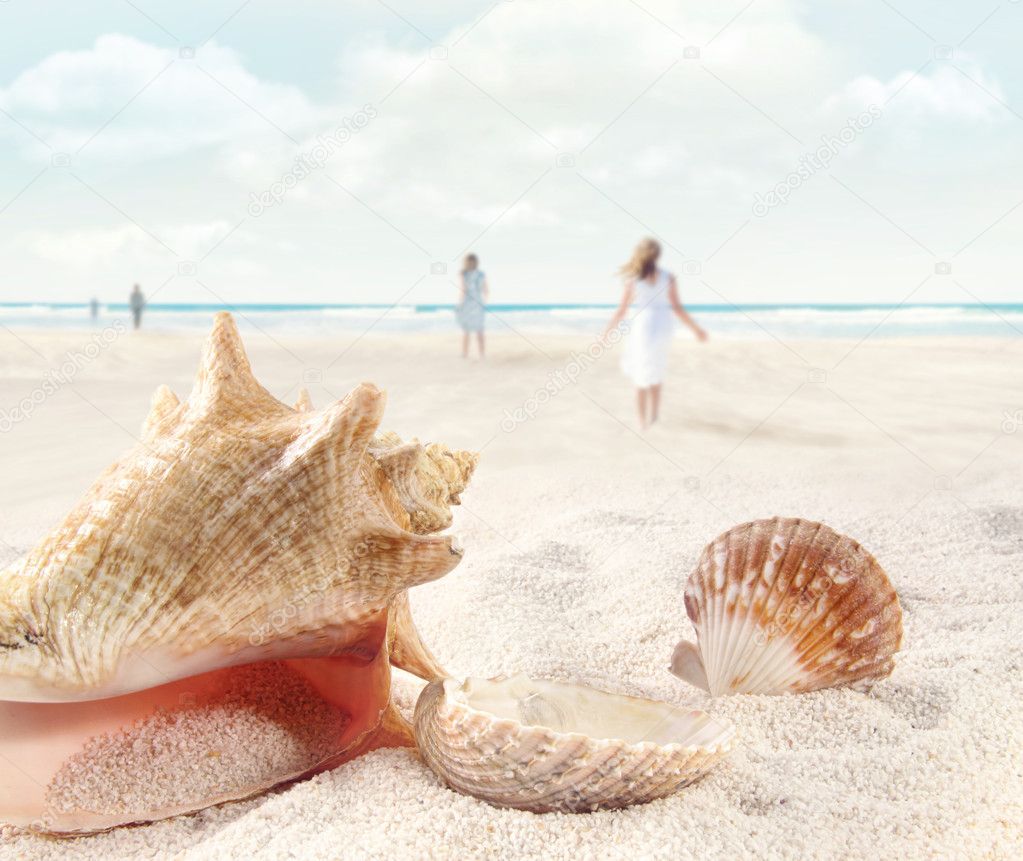 Beach scene with walking and seashells