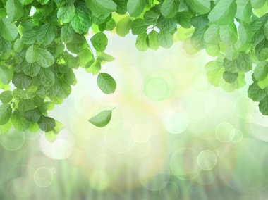 Spring Background With Leaves and brokeh effect clipart